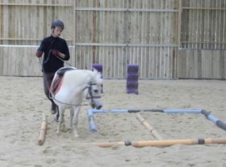 Entrainement equestre en Ille et Vilaine